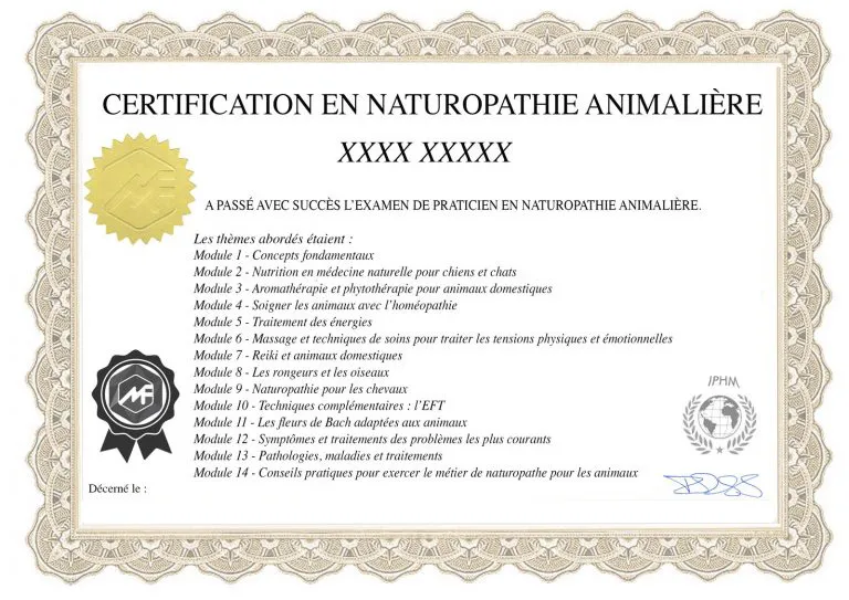 Exemple de certificat de praticien en naturopathie animalière