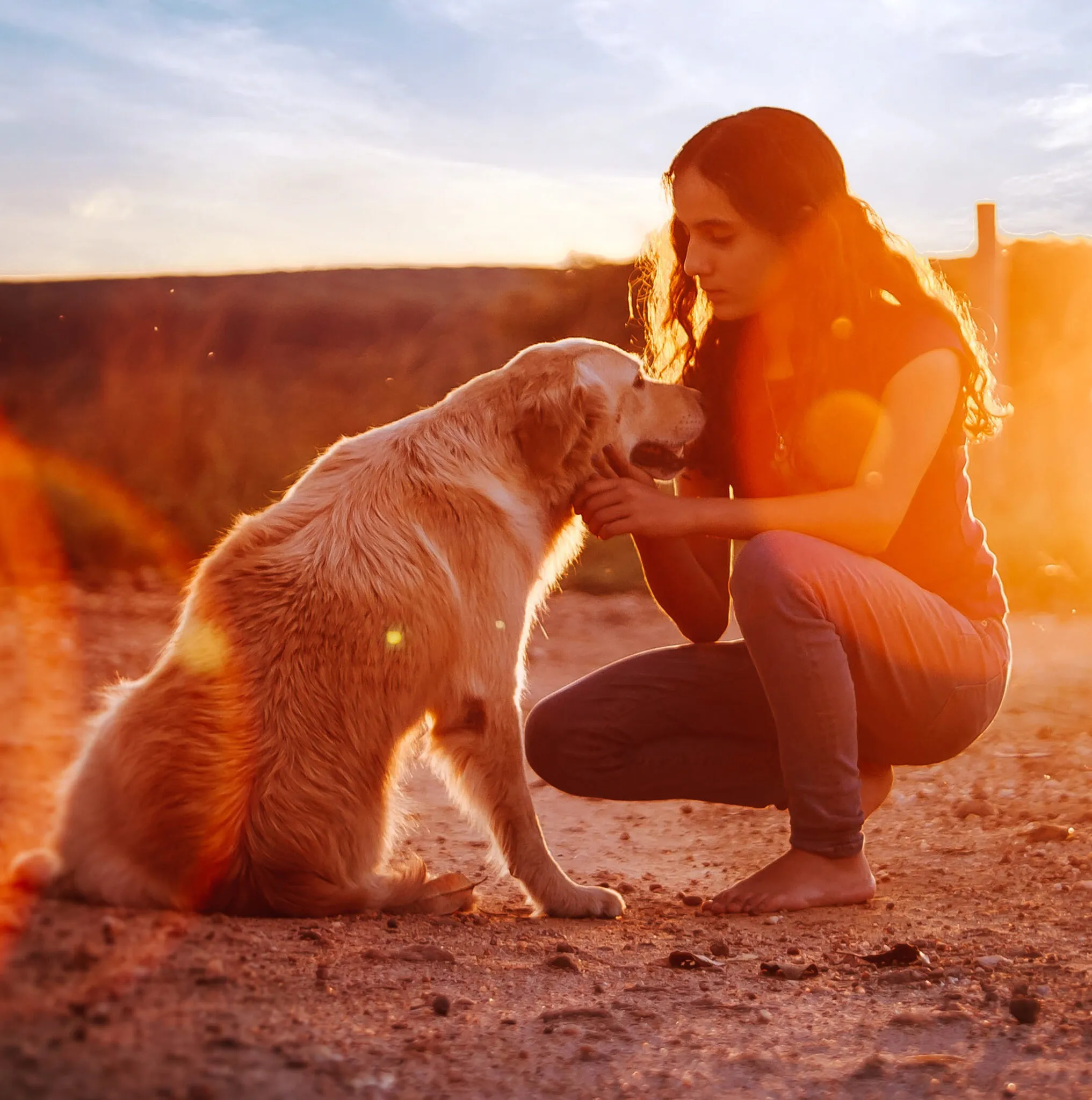 Jeune femme accroupie caressant un chien au coucher du soleil