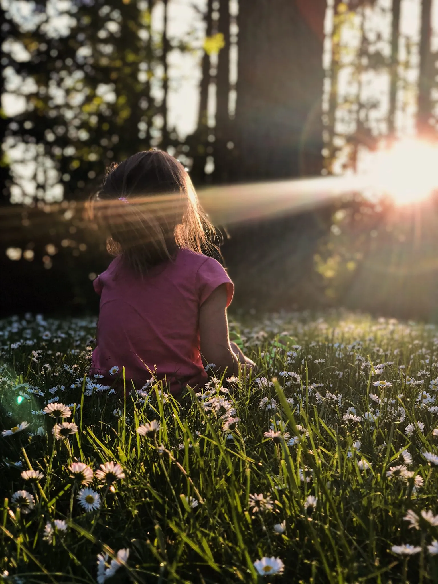 Silhouette dans un pré baigné de soleil